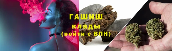 стаф Новозыбков
