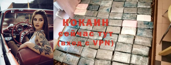 дживик Билибино