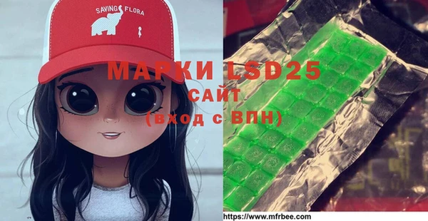 стаф Новозыбков