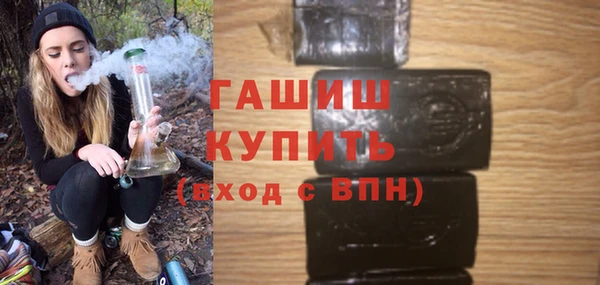 стаф Новозыбков
