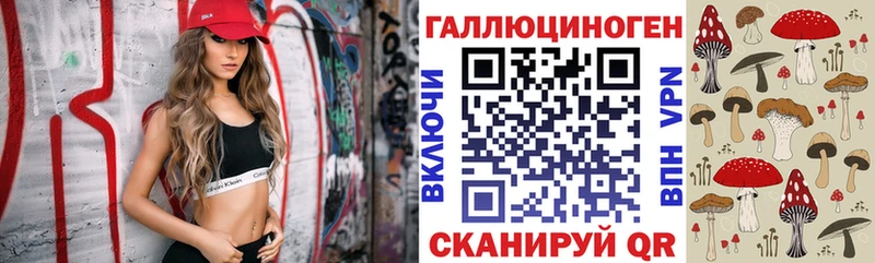 сайты даркнета клад Сим Галлюциногенные грибы мицелий
